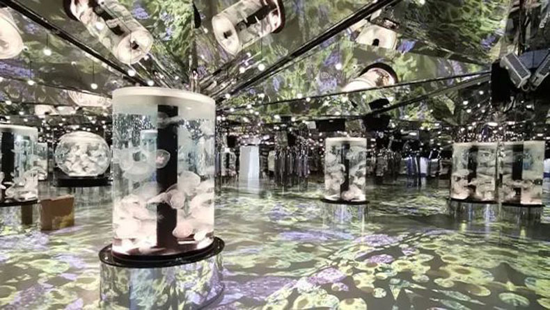 臺灣 Xpark 水族館，全方位沉浸式暢快游樂體驗(yàn)